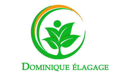 Dominique Surest Elagage 27